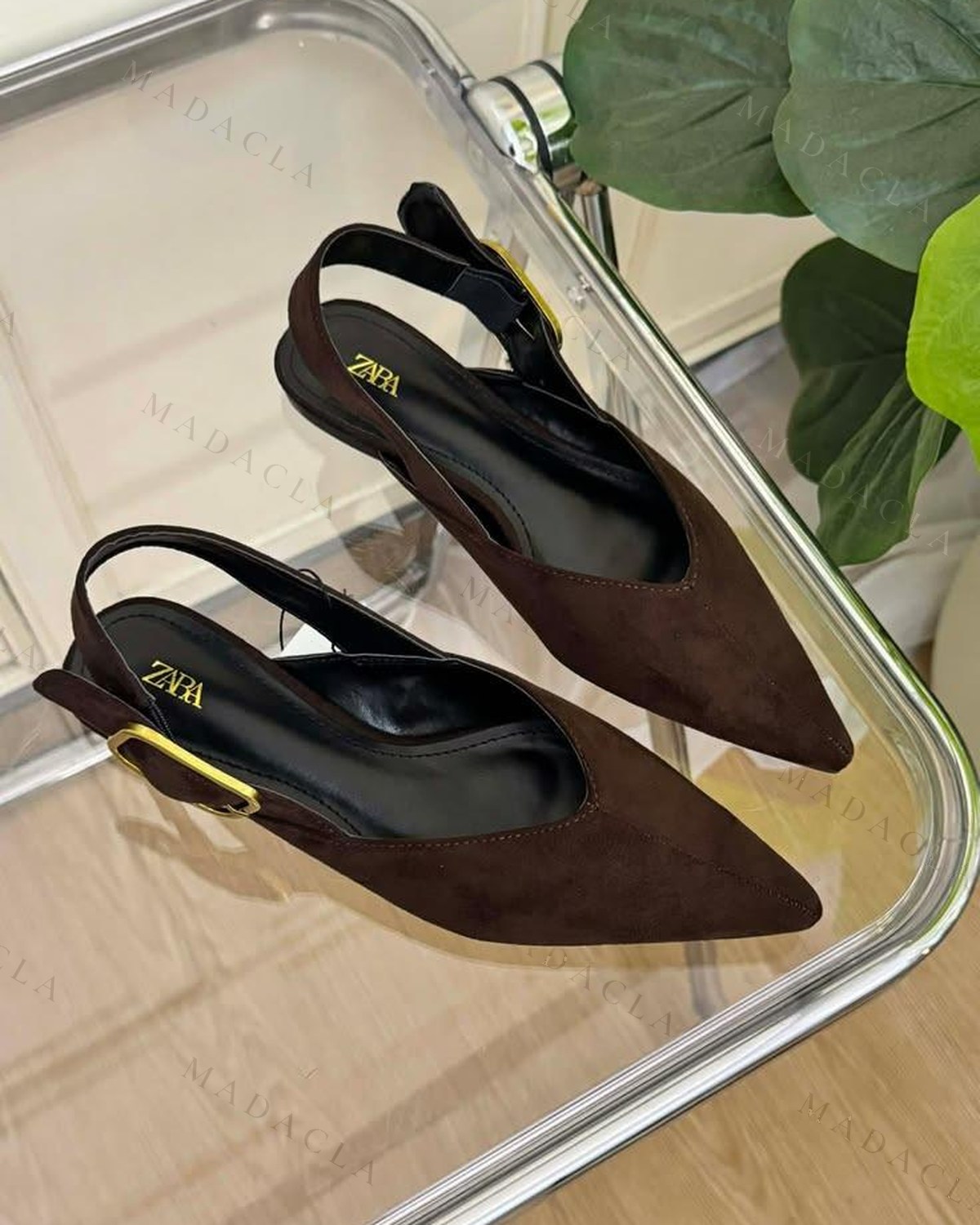 Zapato destalonado de punta fina y tacón bajo: la pala en ante marrón y la tira del talón en negro, con un detalle dorado en el lateral.